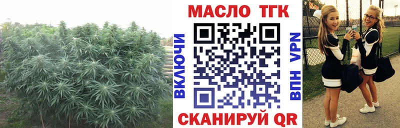 Дистиллят ТГК гашишное масло  Купить  Торопец 